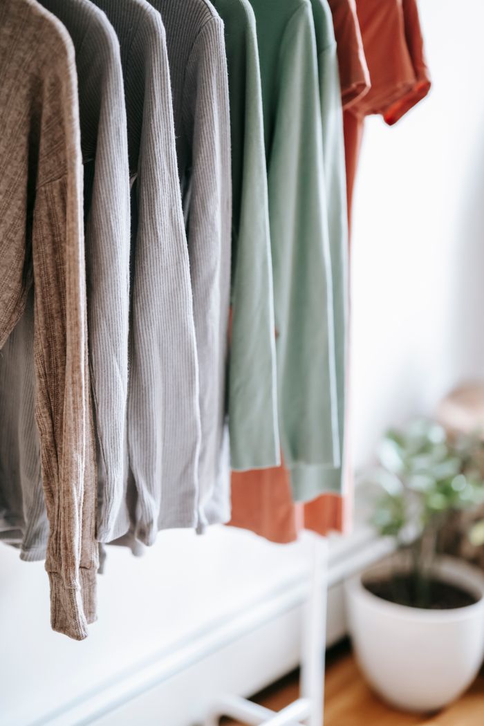 Light apartment interior with different apparels hanging in wardrobe near white walls and potted plant with green leaves on floor